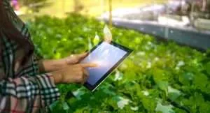 smart agriculture iot